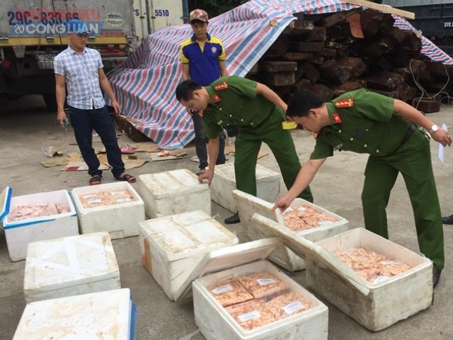 Nghệ An: Hơn 400kg chân, sụn gà không rõ nguồn gốc trên xe khách