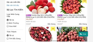 Nối dài kênh tiêu thụ vải thiều Bắc Giang Nối dài kênh tiêu thụ vải thiều Bắc Giang