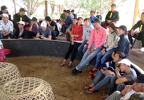 Triệt phá trường gà ở Khánh Hòa