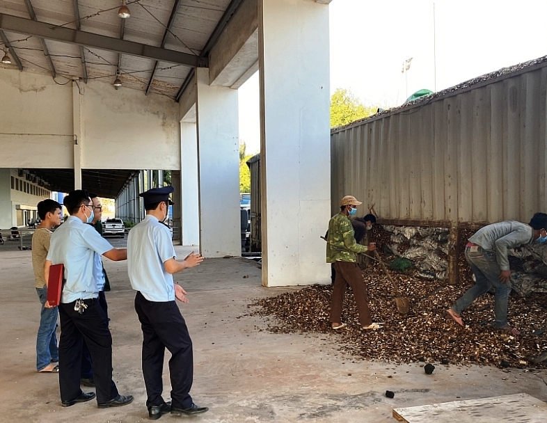 Quảng Trị: Chi Cục Hải quan Lao Bảo phát hiện 24 tấn than ngụy trang dăm gỗ xuất khẩu