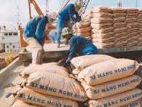 Những gam màu sáng tại thị trường tiêu thụ sản phẩm xi măng