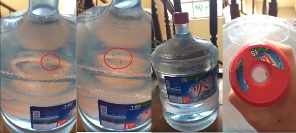 Phát hiện nước khoáng Lavie kiến chết nổi lềnh bềnh, khách hàng cạch mặt