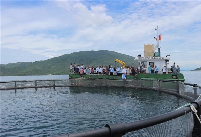 Thí điểm thiết lập một số điểm du lịch cộng đồng nghề cá