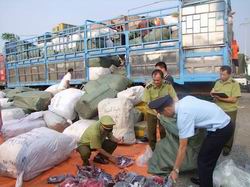 Xử nghiêm đối tượng lợi dụng tạm nhập, tái xuất để buôn lậu Xử nghiêm đối tượng lợi dụng tạm nhập, tái xuất để buôn lậu