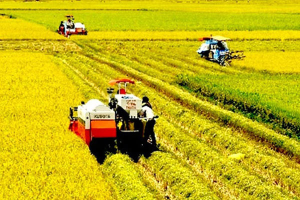 Dành gần 400.000 tỷ đồng vốn tín dụng cho ĐBSCL