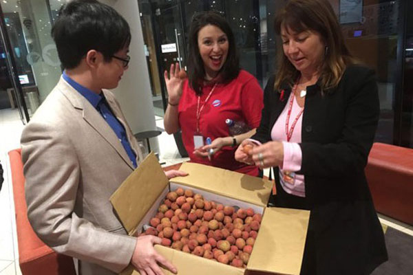 Hơn 10 tấn vải thiều đã xuất sang Australia