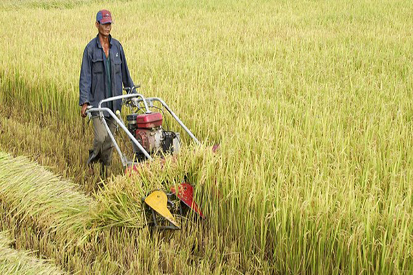 Chuyển mục đích sử dụng đất tại tỉnh Bắc Ninh