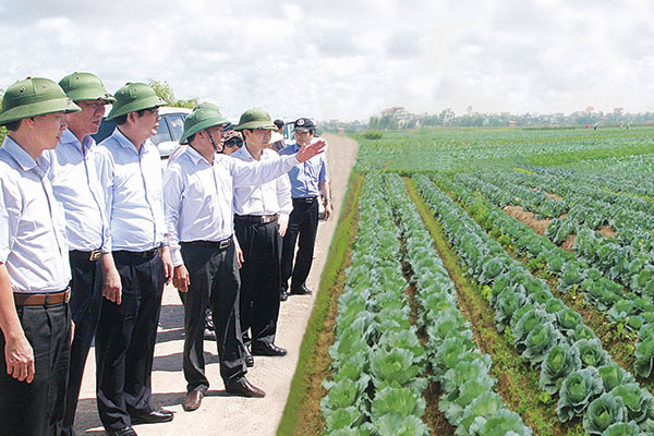 Tạo bước đột phá để Nam Định đạt tỉnh nông thôn mới