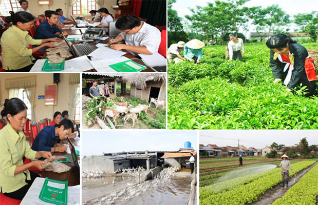 Hạn chế chồng chéo trong chính sách giảm nghèo