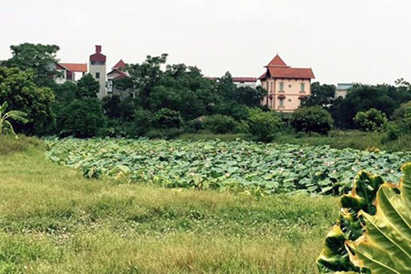 Kiểm tra phản ánh 